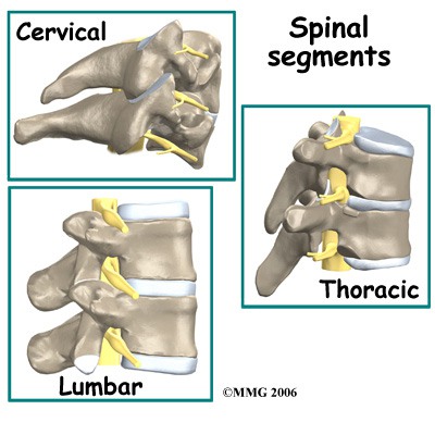 pinggang dan leher sakit karena facet joint syndrome