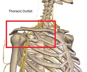 Anatomi Outlet Toraks