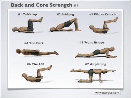 latihan punggung dan core strength