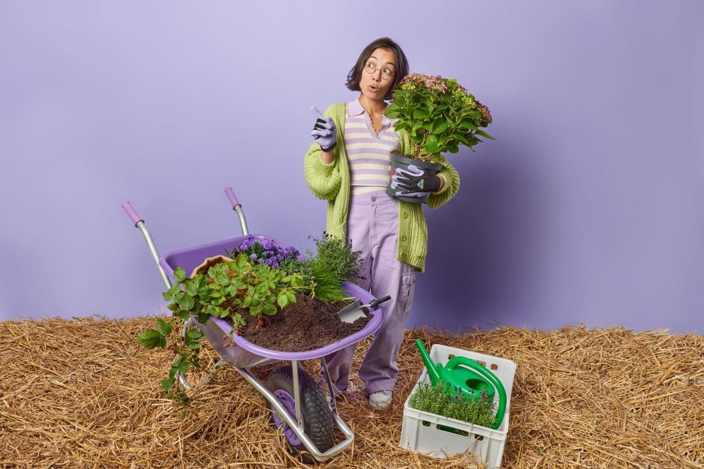 aktivitas dihindari saraf kejepit berkebun