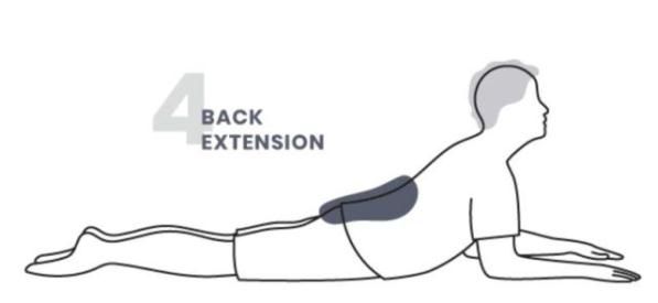 back extension