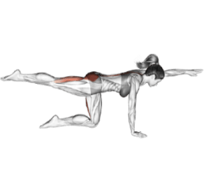 Manfaat Latihan Kekuatan