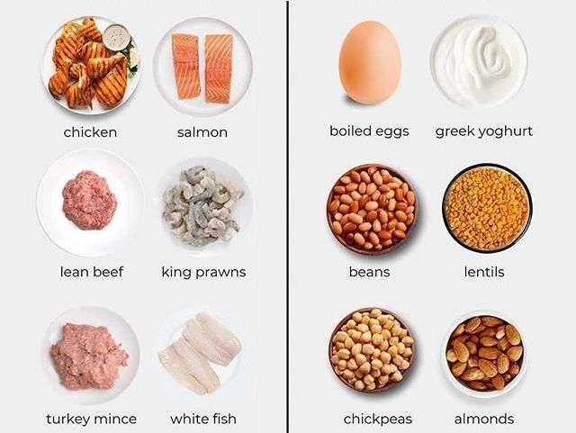 Makanan sumber protein