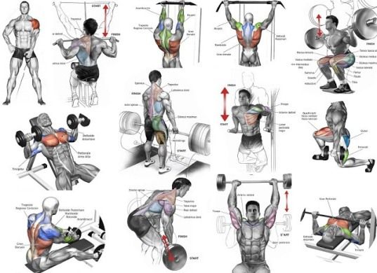Cara meningkatkan massa otot dengan angkat beban