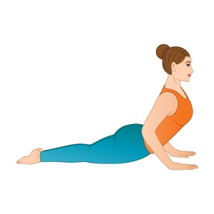 cobra pose