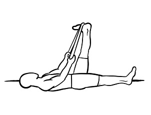 peregangan hamstring