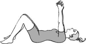 lower back exercise