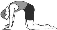exercise punggung bawah