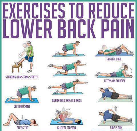 latihan untuk sakit punggung bawah