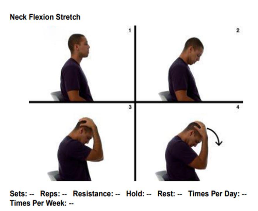 neck flexion stretch peregangan sakit kepala tension