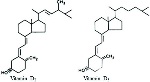 vitamin untuk tulang